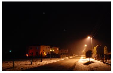 Palowice